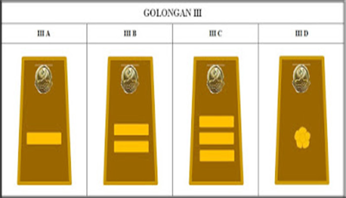 Pangkat Golongan Pns Yang Lengkap Dan Keuntungannya 8329