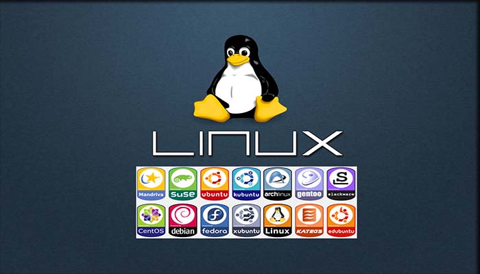 Apa Itu Pengertian Linux Sejarah, Kelebihan, dan Jenis NOVRIADI