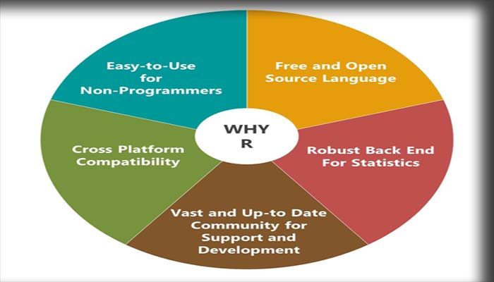 Mengapa R Begitu Populer