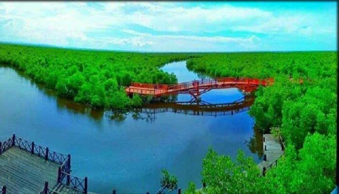 Hutan Mangrove Langsa