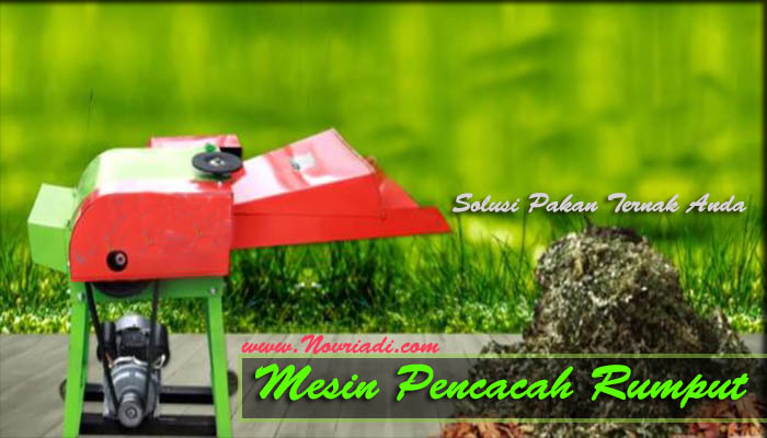 Mesin Pencacah Rumput Multifungsi | Solusi Pakan Ternak Anda